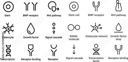 Biological pathways and molecular structures: understanding cellular components