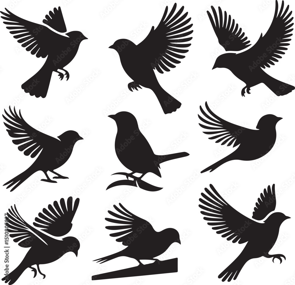 Fototapeta premium Set of flying bird silhouettes in various poses and species