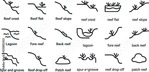 Coral reef formation icons for educational and design purposes