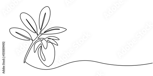 Jojoba fruit continuous one line drawing, Jojoba, Jojoba. Ayurveda.Artistic black and white botanical illustration of a jojoba plant branch with fruits, flowers, and leaves, hand-drawn with intricate.