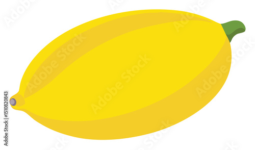 Single yellow lemon fruit illustration