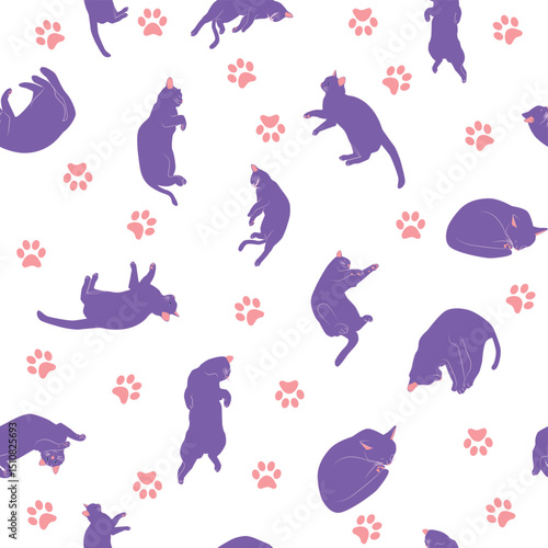 Mystical seamless pattern of cats in boho style, silhouette collection. Esotericism and mysticism, occultism. Cartoon flat vector illustrations, isolated