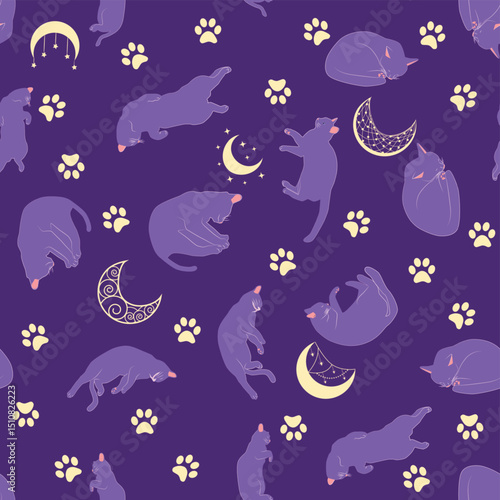 Mystical seamless pattern of cats in boho style, silhouette collection. Esotericism and mysticism, occultism. Cartoon flat vector illustrations, isolated