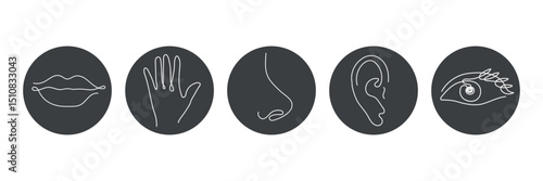 Five human senses one line drawing in circle. Touch, smell, taste, look, hear icon. Set of 5 types feelings. Vector illustration	