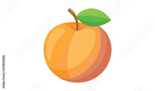 Single ripe apricot fruit with leaf illustration