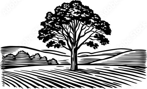 Majestic oak tree illustration in rural landscape vintage farmland, countryside scenery with rolling hills and cultivated fields