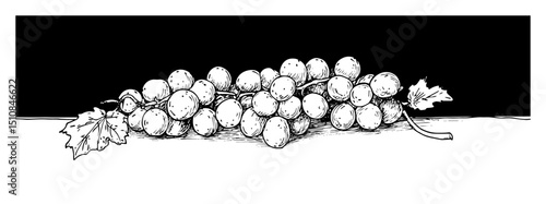 grape bunch on table hand drawn fruit illustration