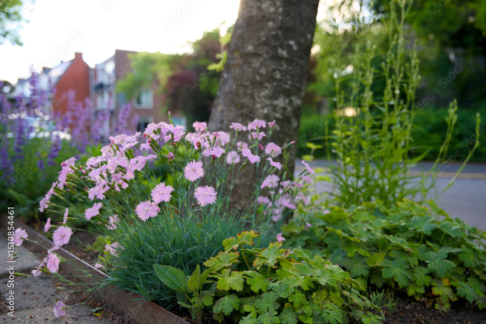 Fototapeta premium Tree pit garden for urban greening and climate adaptation. Small garden with plants around a tree. Boomspiegeltuin.