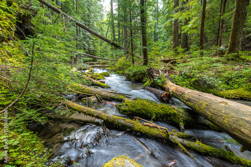 Little Zigzag River in Oregon