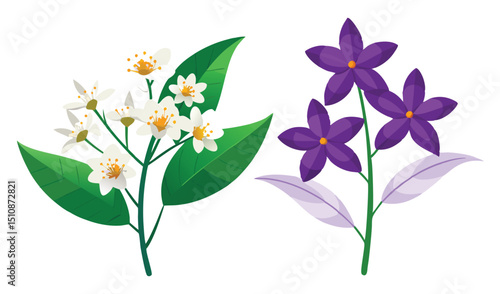 White and purple flowers with green leaves illustration