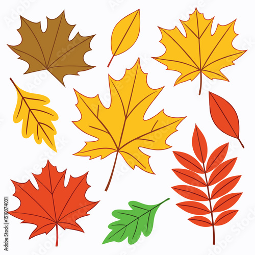 Colorful autumn leaves illustration with various leaf types for fall season concepts