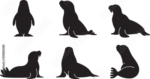 Sea Lion Silhouettes in Various Poses