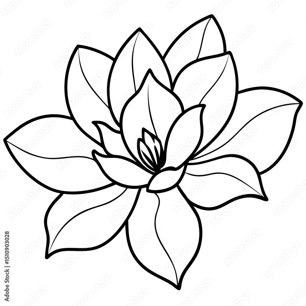 Obraz premium vector illustration of a lotus flower