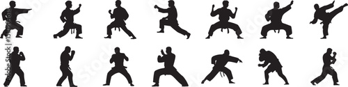 Various Martial Arts Silhouettes in Action, Representing Combat Sports, Fitness, and Athletic Performance
