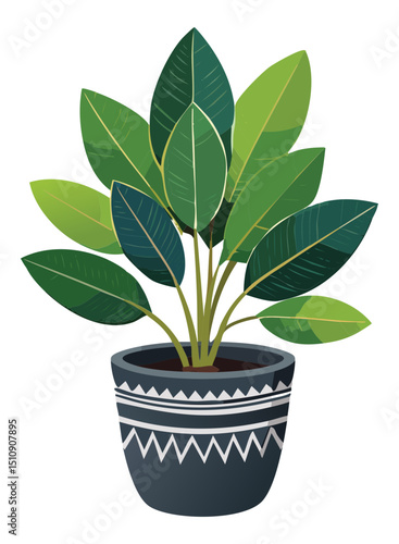 Green rubber plant in ceramic pot
