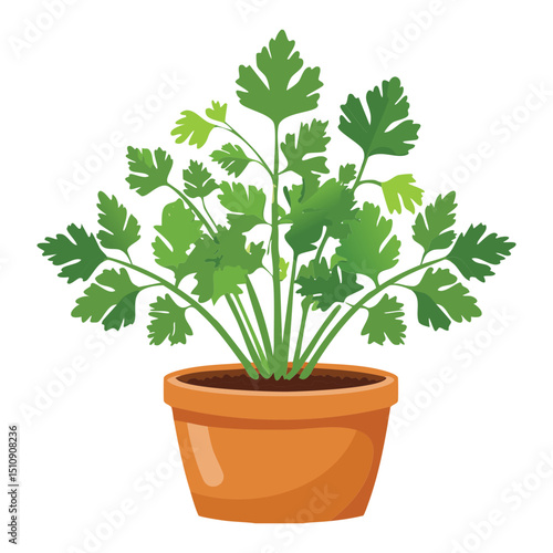 Healthy Green Parsley Herb Potted Illustration