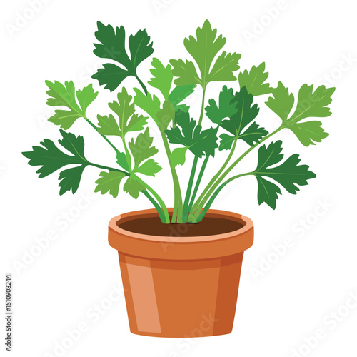 Vibrant Fresh Parsley Plant Terracotta Illustration