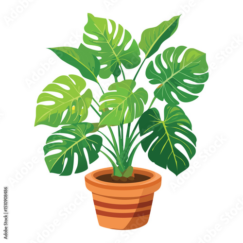 Decorative monstera in pot