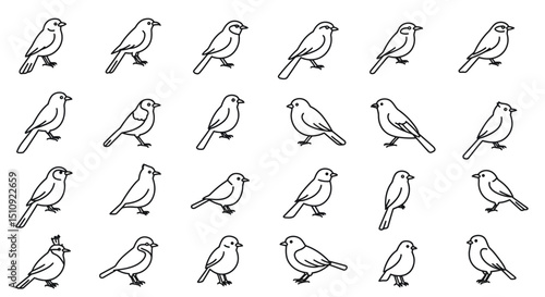 Vector illustration icons of various bird species in simple line art style representing nature and wildlife, black and white
