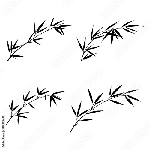 bamboo leaves on a black background