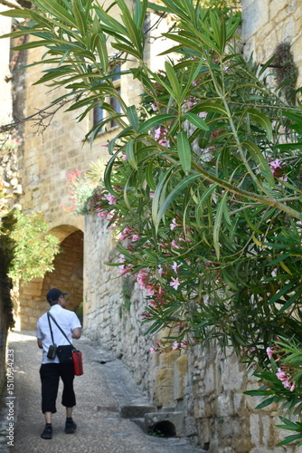le village de la Roque-Gageac, plus beaux villages de france