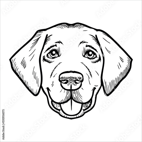 A detailed illustration of a Labrador Retriever dog head. The dog has a friendly expression, with large eyes and a broad snout. Its ears are floppy and the fur is short.