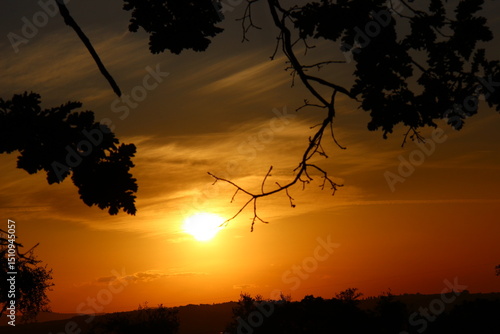 Dettagli al tramonto