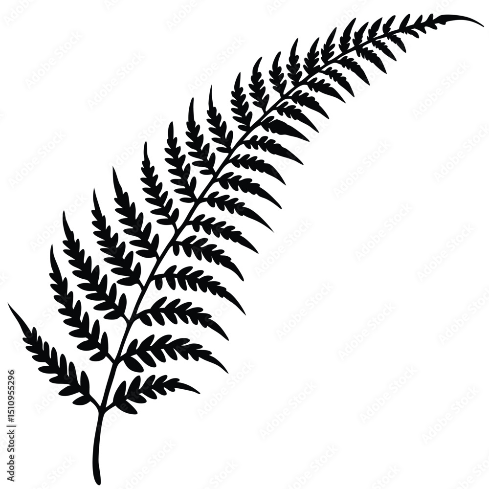 Naklejka premium fern leaves isolated on white