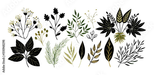 Hand-drawn Botanical Elements: Black & Gold Leaves, Flowers