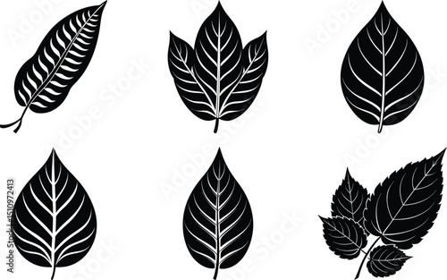 set of leaf silhouettes white background