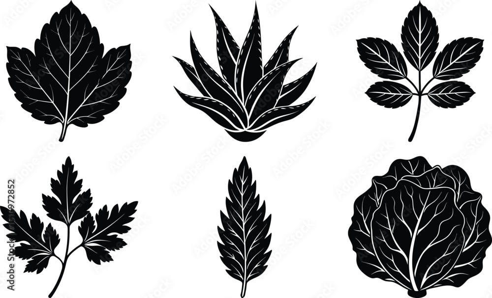 Fototapeta premium Simple Leaf Vector Icon White Background