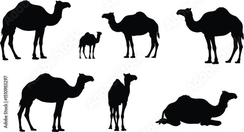 Camel Family Silhouettes: Dromedary Adult & Calf Vector Icons. Desert Animal Collection in Various Poses. Ideal for Wildlife & Travel Graphics. AI Generative
