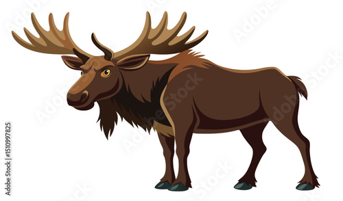 Large male moose with antlers illustration