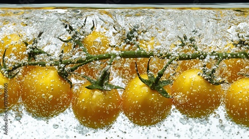   A tomato vine with water drops splashing on its surfaces is shown in a close-up image