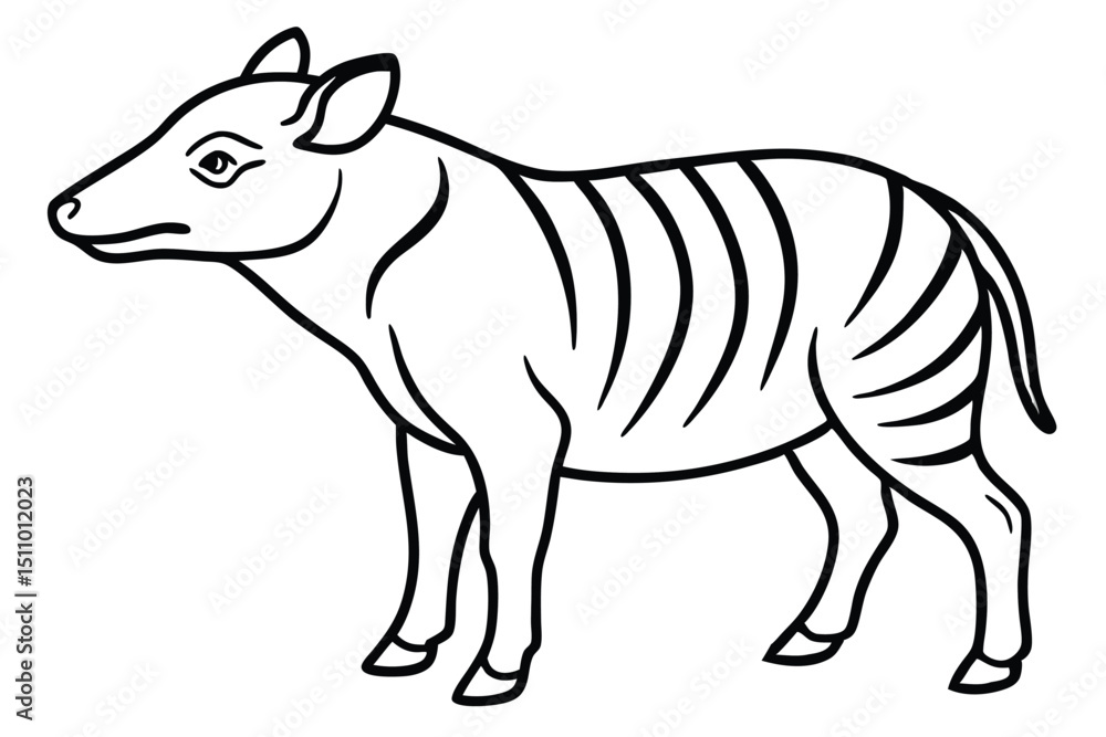 Fototapeta premium Isolated striped zebra vector illustration of a wild African mammal