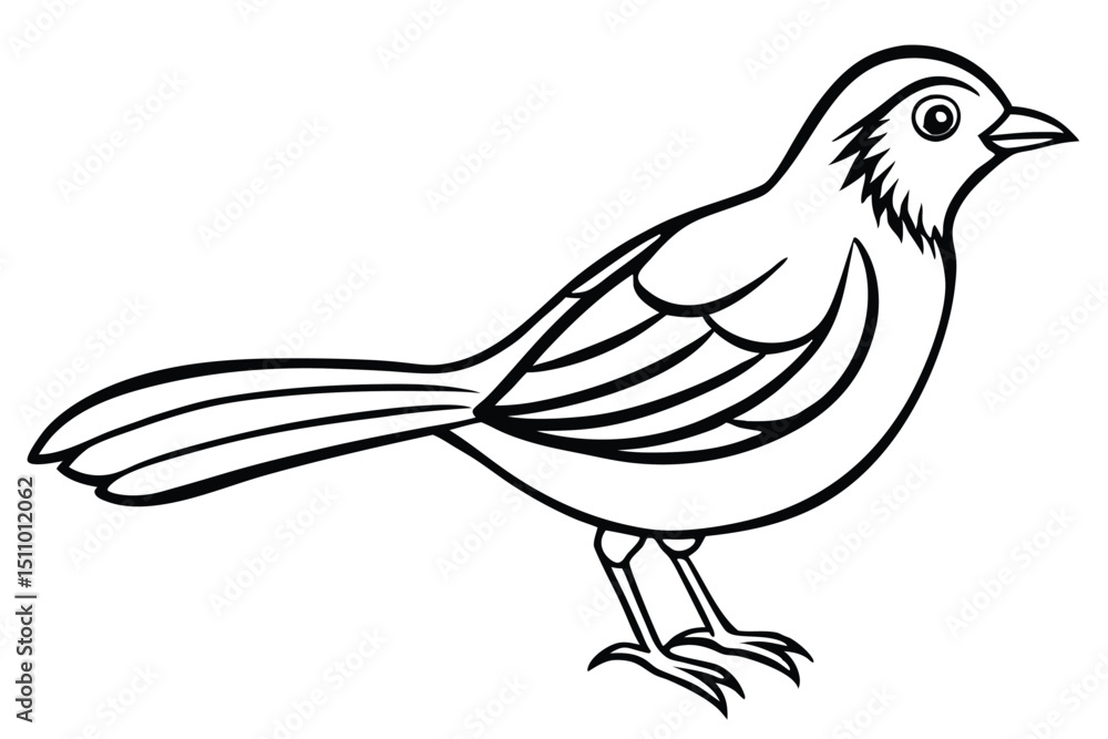 Fototapeta premium vector illustration of a bird