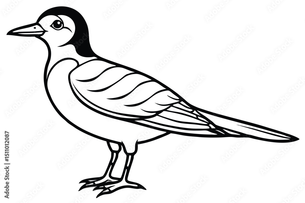 Obraz premium White dove or pigeon isolated on a white background, a beautiful bird illustration perfect for nature and wildlife designs