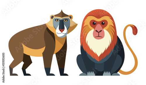 Mandrill and golden snub nosed monkey illustration