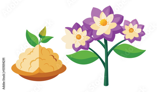 Illustration of turmeric root and flowers