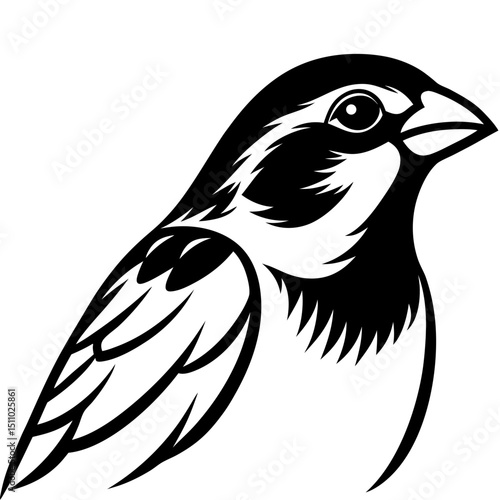 bird of prey