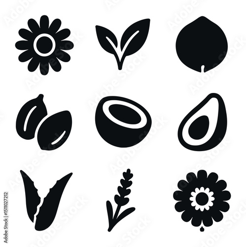 Botanical Ingredient Icons. Solid, Filled icon set of natural and botanical ingredients: chamomile flower, green tea leaf, rose
