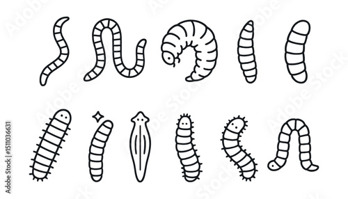 Line style icons of worms and larvae: earthworm, compost worm, grub, mealworm, maggot, caterpillar, glowworm, flatworm, silk moth larva, inchworm.