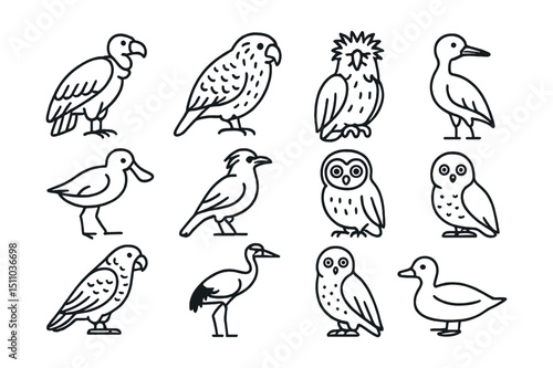 Line style icons of endangered birds: California condor, kakapo, Philippine eagle, spoon-billed sandpiper, Bali myna, forest owlet, African grey parrot, red-crowned crane, snowy owl, Madagascar