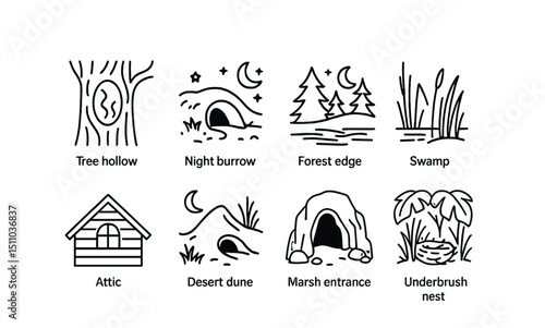 Line style icons of nocturnal animal habitats: tree hollow, night burrow, forest edge, swamp at dusk, attic, desert dune shelter, cave entrance, marsh grass, rainforest canopy, underbrush nest.
