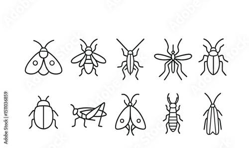 Line style icons of nocturnal insects: moth, firefly, cricket, mosquito, cockroach, beetle, katydid, luna moth, earwig, caddisfly.