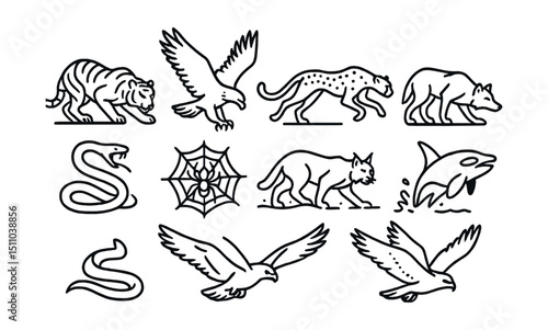 Line style icons of animals hunting or stalking: tiger crouching, eagle diving, cheetah sprinting, wolf stalking, crocodile ambush, snake striking, spider in web, lynx in snow, orca breaching, falcon