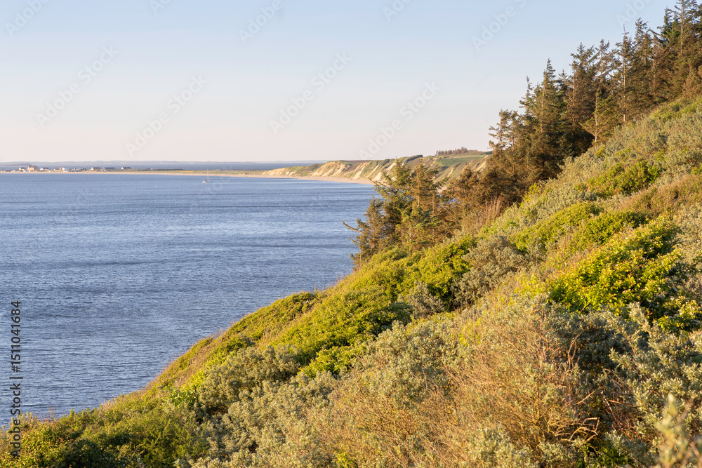 Obraz premium Die 50m hohen Toftum Bjerge liegt bei Humlum, nördlich von Struer in Dänemark. Die Küstenlinie ist hier ca. 15 km lang. Wunderschöne Naturlandschaft mit Steilküste am Limfjord. 