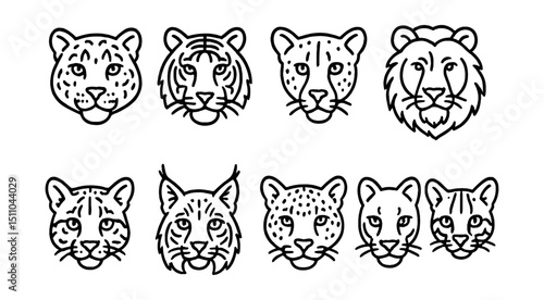 Line style icons of endangered big cats: snow leopard, tiger, cheetah, Asiatic lion, clouded leopard, Iberian lynx, leopard, jaguar, cougar, margay.