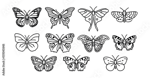Line style icons of butterflies and moths: monarch butterfly, swallowtail, luna moth, blue morpho, tiger moth, brimstone butterfly, peacock butterfly, atlas moth, small tortoiseshell, cabbage white.