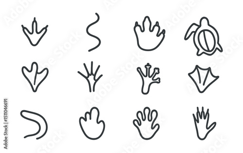 Line style icons of reptile and amphibian tracks: lizard footprint, snake trail in sand, crocodile footmark, turtle flipper track, frog webbed foot, salamander print, gecko toe track, chameleon trail
